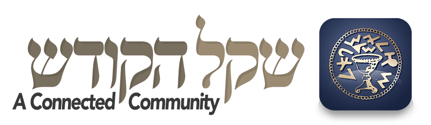 שקל הקודש – תשלום נדרים ותוכנה מתקדמת לגבאי בית הכנסת